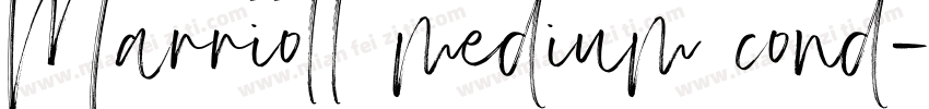 Marriott medium cond字体转换
